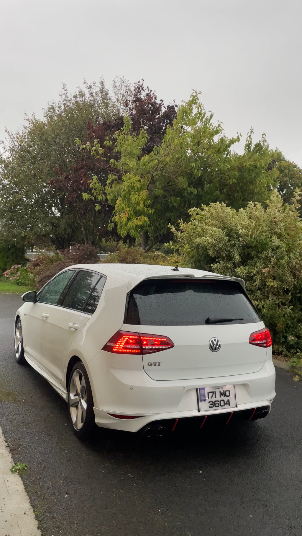 Heavy Cut Paint Correction